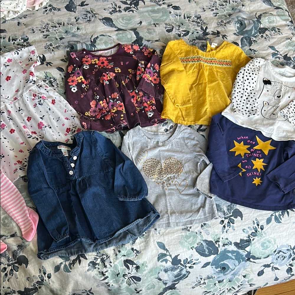 Assorted Baby Girl spring Clothing Set - Sz 12-18M
